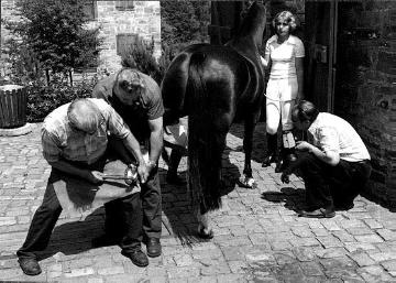 LWL-Freilichtmuseum Hagen, Museumsaktion: Beschlagen eines Pferdes beim Hufschmied