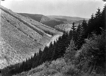 Bewaldete Kuppen des Lichteloh mit Blick Richtung Endorf