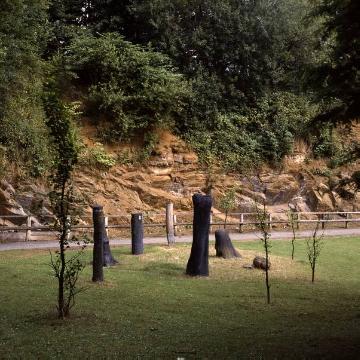 Fossile Baumstümpfe in Geologischen Garten