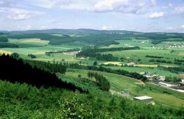 Südsauerländer Bergland westlich vom Dünneckenberg