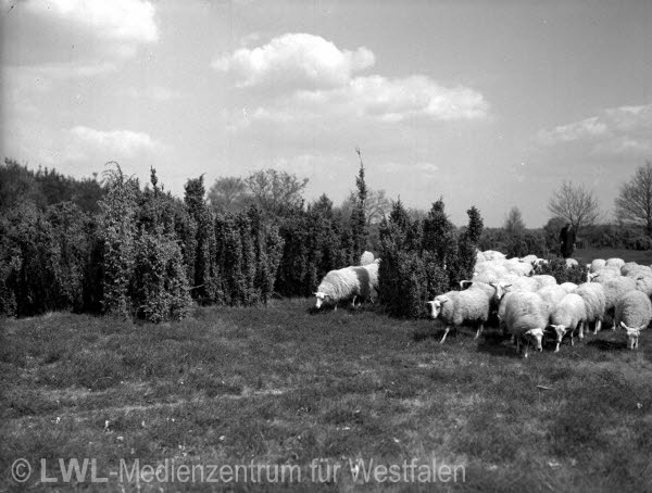 05_10747 Altkreis Münster-Land 1950er - 1970er Jahre