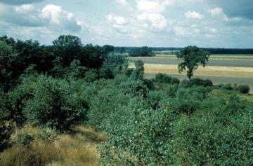 Landschaft am Rande der Bockholter Berge südlich Greven, 1961