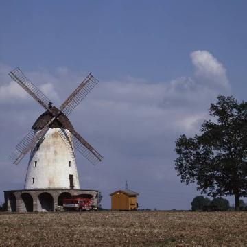 Denkmalgeschützte Windmühle auf dem Thiemannshof in Schmerlecke, erbaut 1831