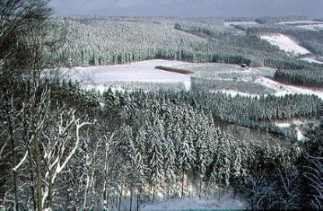 Verschneite Waldlandschaft im Helletal östlich der Stadt