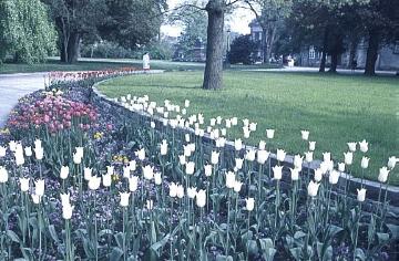 Blumenbeete im Schlosspark