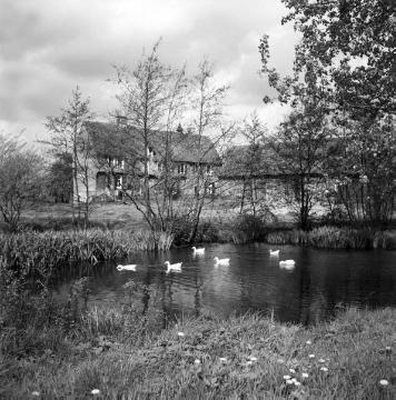 Hof Althaus: Gartenseite mit Blick über den Teich