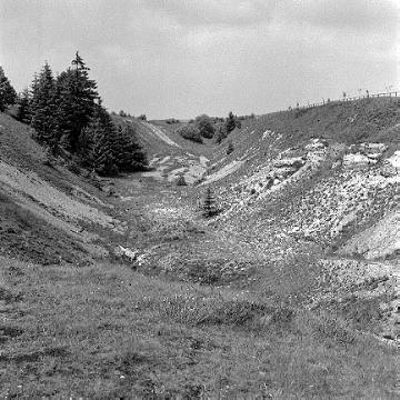 Naturschutzgebiet Bleikuhlen bei Blankenrode; stillgelegter Tagebau von Zinkerz