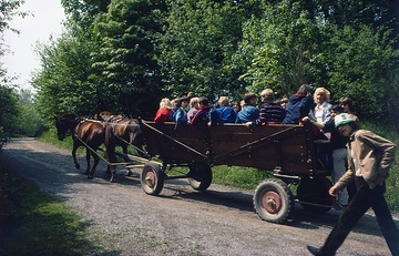 LWL-Freilichtmuseum Detmold, Kindergruppe auf einer Kutschfahrt durch das Museumsdorf