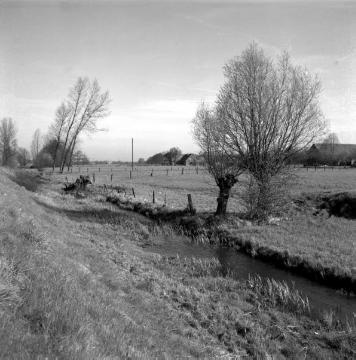 Ehemaliger Max-Clemens-Kanal bei Greven-Westerode