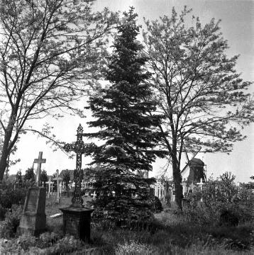 Friedhof Raesfeld mit Ebberts Mühle
