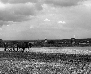 Bauer mit Pferdepflug auf einem Feld am Stadtrand