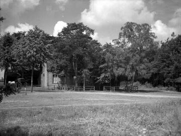 Gehöft mit Wetterbäumen nahe des ehemaligen Max-Clemens-Kanals bei Greven-Vosskotten, undatiert, um 1930