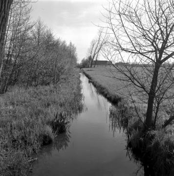 Ehemaliger Max-Clemens-Kanal: Wasserführendes Kanalbett bei Greven-Westerode