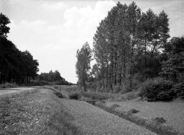 Ehemaliger Max-Clemens-Kanal kurz vor der Kreuzung Heidegrund in der Bauerschaft Münster-Sandrup, vor 1935