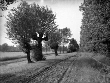 Historischer Leinpfad am ehemaligen Max-Clemens-Kanal, ohne Ortsangabe, undatiert, um 1930