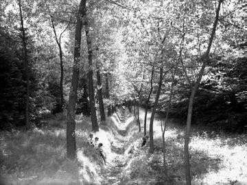 Trockenes Kanalbett des ehemaligen Max-Clemens-Kanals in einem Laubgehölz, ohne Ortsangabe, um 1930