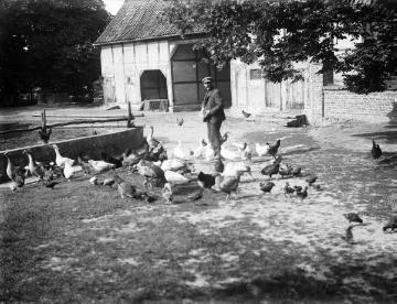 Hühnerfütterung auf Hof Vellinghausen
