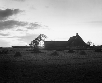 Bauernhof in Borghorst bei Sonnenuntergang