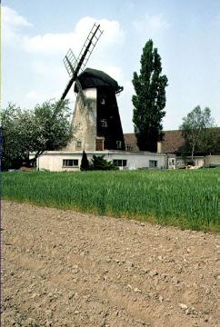 Blick zur Windmühle von 1860 in Stemmer