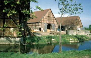 Münster-Nienberge: Fachwerkhof Uhlenkotten mit Gräfte 1959