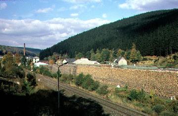 Holzlager des Degussa Holzverkohlungswerkes in Brilon-Wald (Firmenansiedlung 1880)