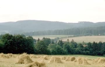Blick von Hiddesen über abgeerntete Getreidefelder zum Langenberg im Teutoburger Wald