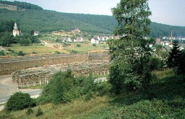 Holzlager des Degussa Holzverkohlungswerkes in Brilon-Wald (Firmenansiedlung 1880)