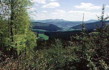 Blick von der Nuttlarer Höhe (542 m) in Richtung Olsberg