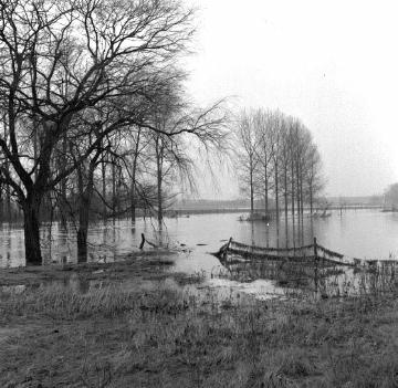 Hochwasser der Stever: Überschwemmte Uferwiesen