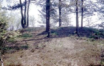 Bronzezeitlicher Hügelgräber in der Dörenschlucht zwischen Pivitsheide und Augustdorf, Teutoburger Wald