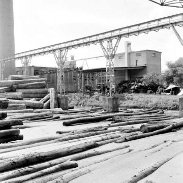 Das Holzlager des Sperrholzwerks Künnemeyer in Horn