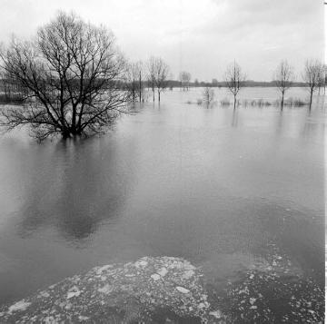 Winterhochwasser in der Ems-Werse-Mündung: Überschwemmtes Flurgehölz bei Gelmer