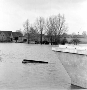Winterhochwasser in der Ems-Werse-Mündung: Gehöft im Überschwemmungsbereich nördlich Gelmer