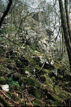 Klippen an der Almequelle am Buchenberg in Oberalme