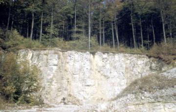 Kalksteinbruch bei Bärental im Teutoburger Wald
