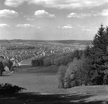 Blick vom Poppenberg auf die Stadt und die Briloner Hochfläche