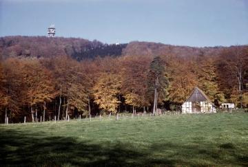 Kötterhof am Fuße des Teutoburger Waldes, im Hintergrund der Fernsehturm