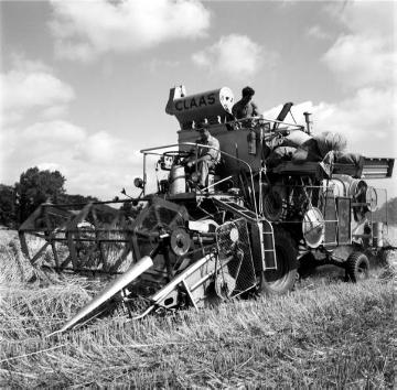 Getreideernte mit dem Mähdrescher, Münsterland, 1963
