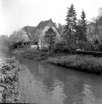 Die Ems am Mühlenwall in Wiedenbrück