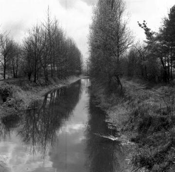 Boker Kanal, Westenholzer Abschnitt, 32 km langer Bewässerungskanal zwischen Paderborn-Neuhaus und Lippstadt, in Funktion 1853 bis 1970er Jahre