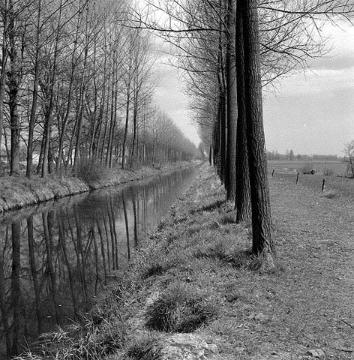 Boker Kanal mit Pappelallee bei Sudhagen, 32 km langer Bewässerungskanal zwischen Paderborn-Neuhaus und Lippstadt, in Funktion 1853 bis 1970er Jahre