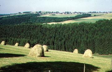 Landschaftsansicht mit Blick auf Langewiese