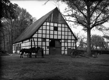 Greven: Fachwerk-Bauernhof Schürmann um 1940