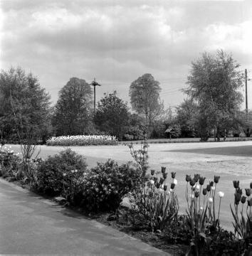 Textilindustrie in Greven, 1964: Grünanlage auf dem Werksgelände der Gardinenweberei Cordima an der Saerbecker Straße