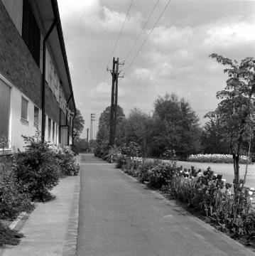 Textilindustrie in Greven, 1964: Gardinenweberei Cordima an der Saerbecker Straße