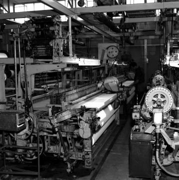 Textilindustrie in Greven, 1964: Gardinenweberei Cordima, Blick in den Websaal
