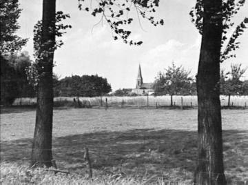 Weide bei Füchtorf mit Blick auf den Kirchturm