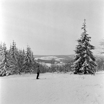 Winterlandschaft am Kahlen Asten - Blick Richtung Altastenberg
