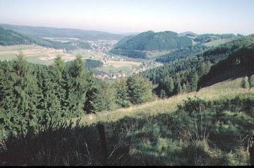 Blick vom Hömberg bei Padberg ins Hoppecketal