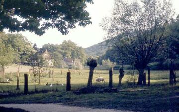 Gehöft mit Hausweide im Heidental bei Hiddesen (Teutoburger Wald)